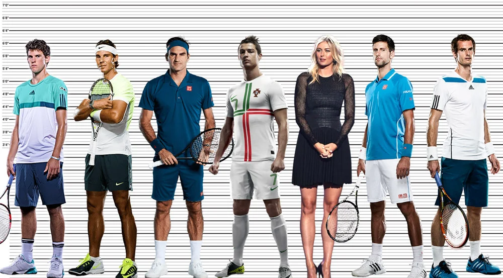 Average Height of Tennis Players